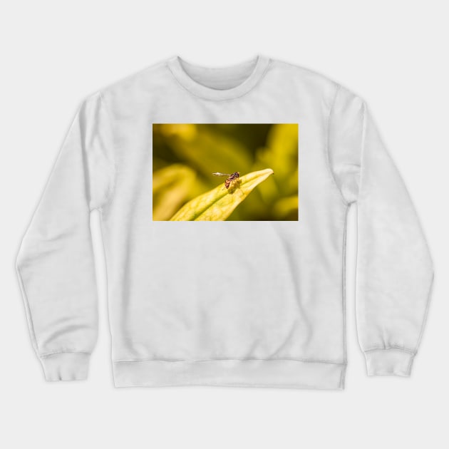 Calligrapher fly on leaf Crewneck Sweatshirt by blossomcophoto